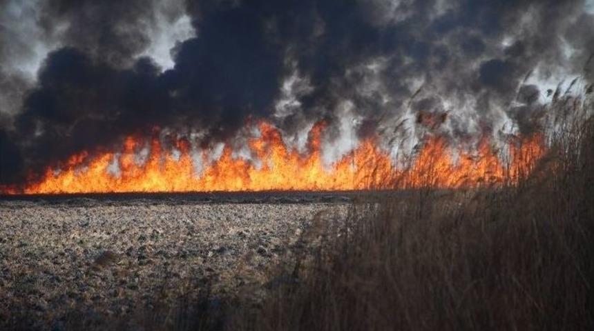 Silifke G&ouml;ksu Deltası Kuş Cenneti&rsquo;nde Yangın