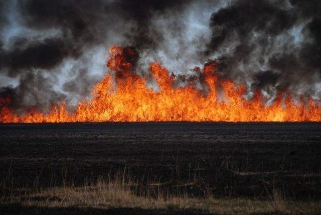 Silifke G&ouml;ksu Deltası Kuş Cenneti&rsquo;nde Yangın 1