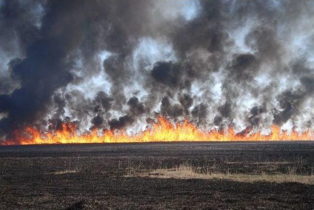 Silifke G&ouml;ksu Deltası Kuş Cenneti&rsquo;nde Yangın 2
