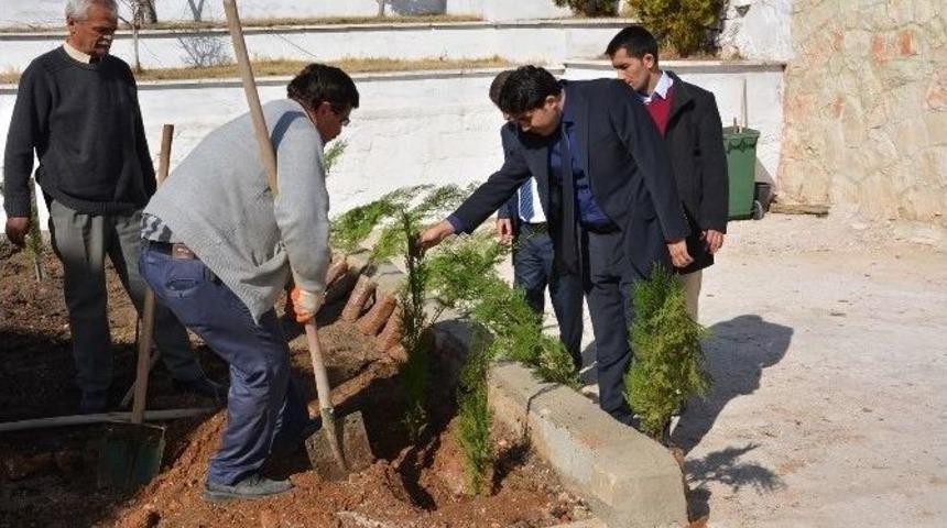 Korkuteli Adliye Sarayı Bah&ccedil;esinde 100 Fidan Toprakla Buluştu