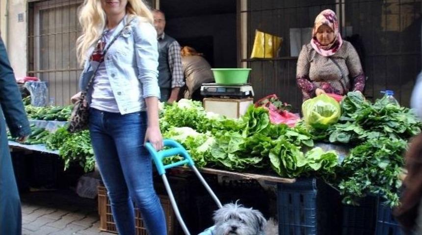 Ma&ccedil;a&rsquo;nın Salı Pazarı Keyfi