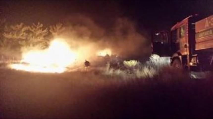 İskenderun&rsquo;da Orman Yangını