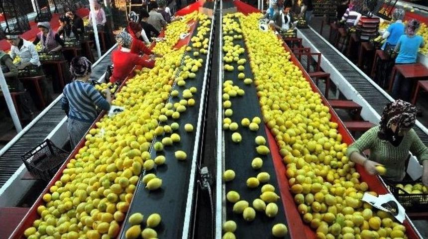 Gıda İhracat&ccedil;ıları Tanıtım Atağını S&uuml;rd&uuml;r&uuml;yor