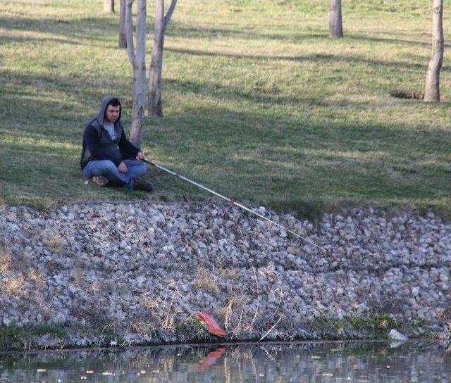 Porsuk Balıkçıları Yerini Aldı