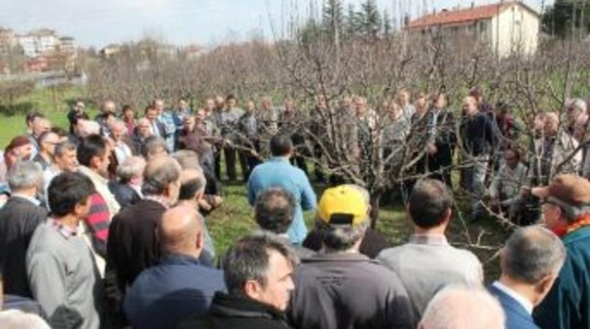103 &Ccedil;ift&ccedil;iye Budama Eğitimi
