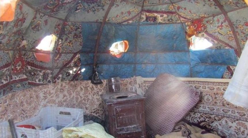 Y&uuml;zen Ada, Ka&ccedil;ak G&uuml;me &Ccedil;ıktı