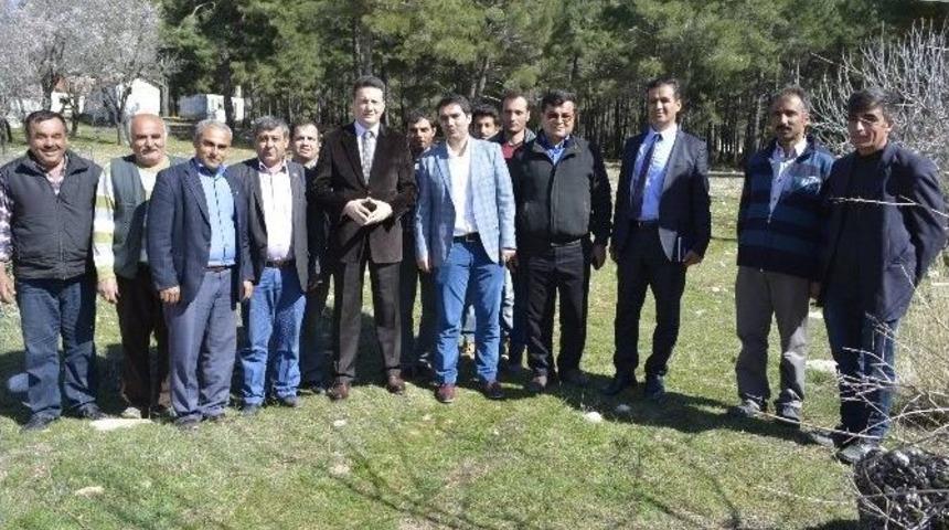 Seydikemere İki Yeni Spor Alanı Kurulacak