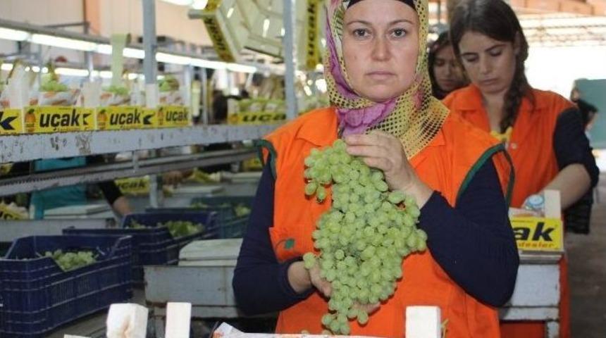 İhracat Rekortmeninden &Uuml;z&uuml;mc&uuml;lere Uyarı