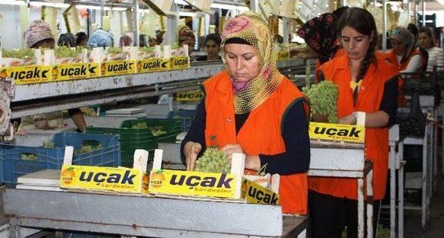 İhracat Rekortmeninden Üzümcülere Uyarı