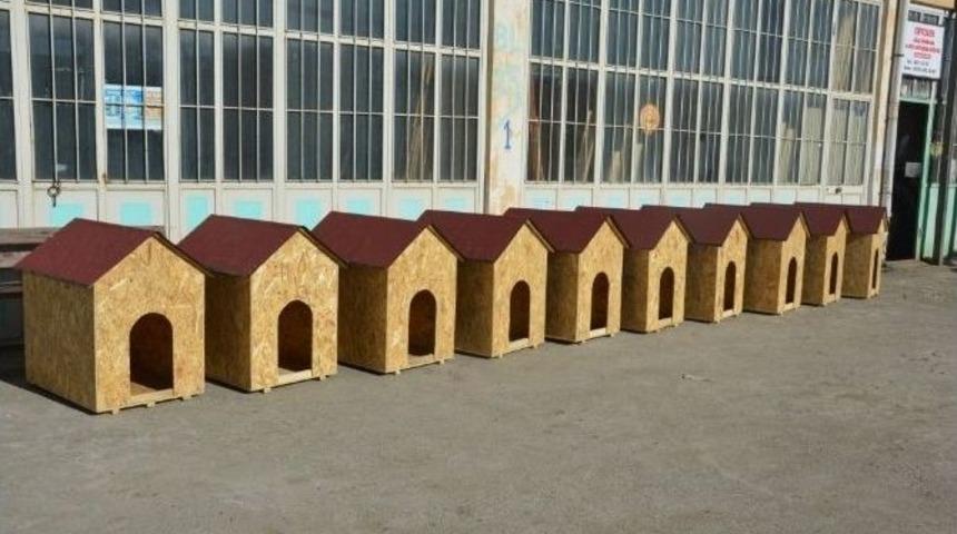 Hayvanseverlerden Sokak K&ouml;pekleri İ&ccedil;in 10 Adet Kul&uuml;be