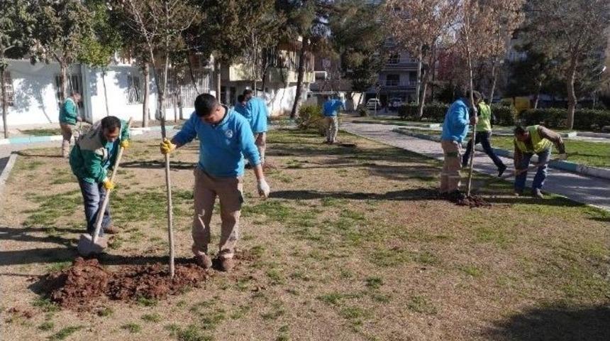 Yemyeşil Bir Haliliye İ&ccedil;in Ağa&ccedil;landırma &Ccedil;alışması Başlatıldı