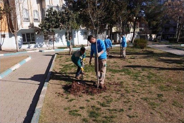 Yemyeşil Bir Haliliye İçin Ağaçlandırma Çalışması Başlatıldı