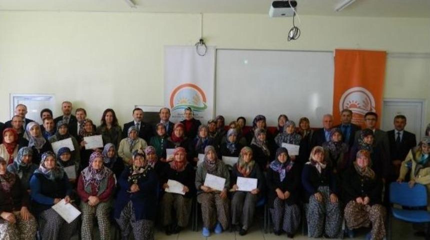 Soma&rsquo;da Zeytin Ağa&ccedil;ları Kadınlara Emanet