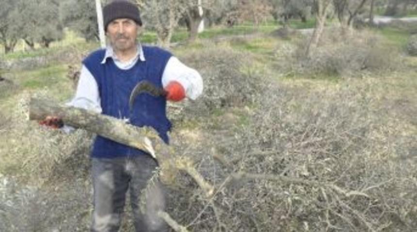 84 Yaşındaki Delikanlı