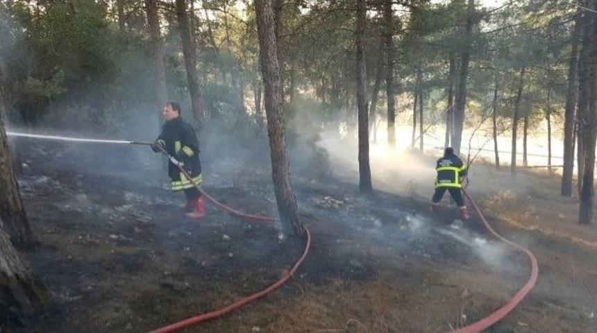 Faciaya Ramak Kaldı