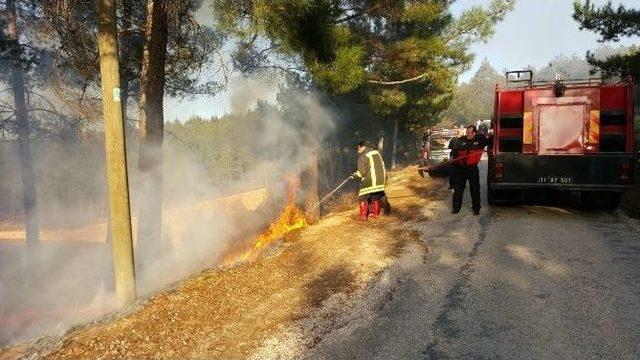 Faciaya Ramak Kaldı