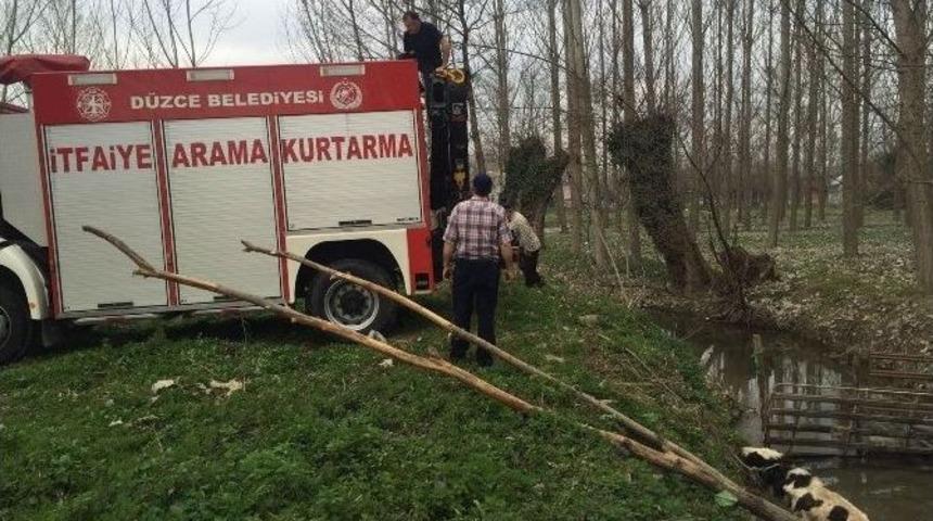 Dereye D&uuml;şen İneği İtfaiye Kurtardı