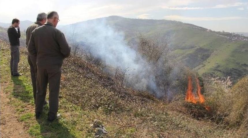 Yangın, Ormanlık Alana Sı&ccedil;ramadan S&ouml;nd&uuml;r&uuml;ld&uuml;