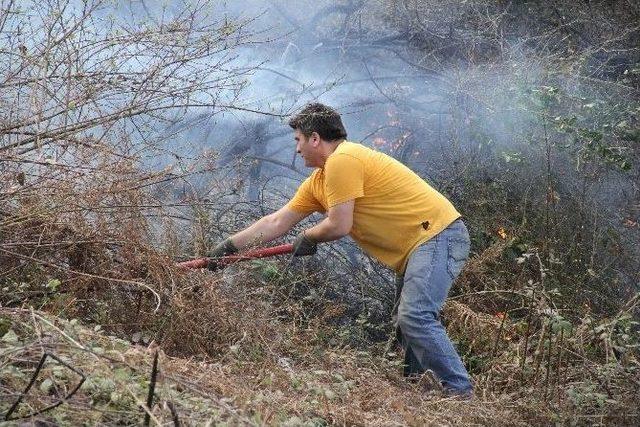 Yangın, Ormanlık Alana Sı&ccedil;ramadan S&ouml;nd&uuml;r&uuml;ld&uuml; 1