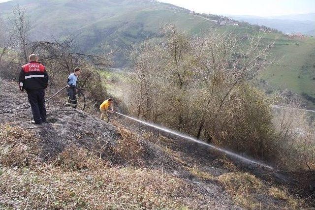Yangın, Ormanlık Alana Sı&ccedil;ramadan S&ouml;nd&uuml;r&uuml;ld&uuml; 2