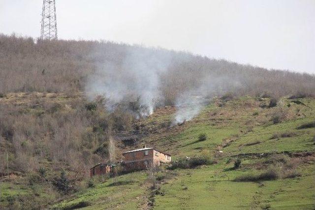Yangın, Ormanlık Alana Sı&ccedil;ramadan S&ouml;nd&uuml;r&uuml;ld&uuml; 3