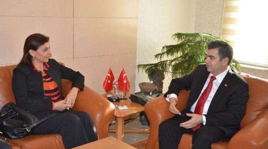 Satran&ccedil; Federasyonundan 19 Okula Satran&ccedil; Sınıfı