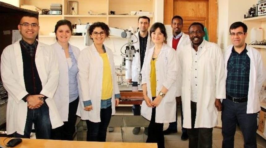 Om&uuml;, D&uuml;nyada Epilepsi &Uuml;zerine &Ccedil;alışan Sayılı Merkezlerden