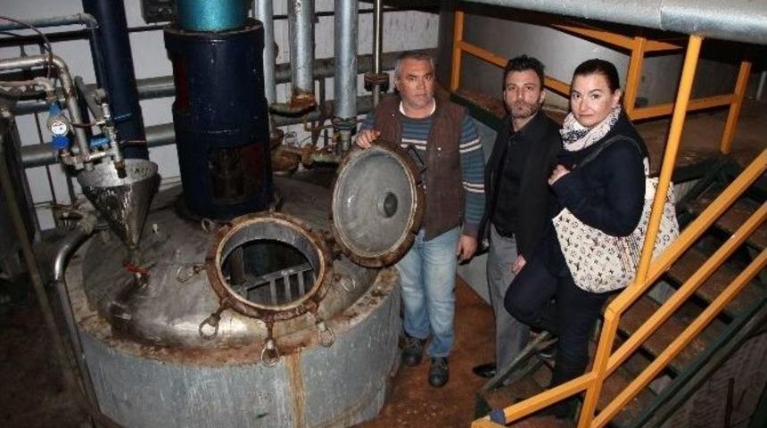 Zeytinyağlı Kedi Ve K&ouml;pek Şampuanı &Uuml;rettiler