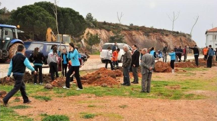 Ayvalık Belediyesi&rsquo;nin Diktiği &Ccedil;ınarlar K&uuml;&ccedil;&uuml;kk&ouml;y&rsquo;&uuml;n Geleceği Olacak