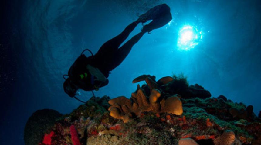 İki kıta b&ouml;yle ayrılıyor