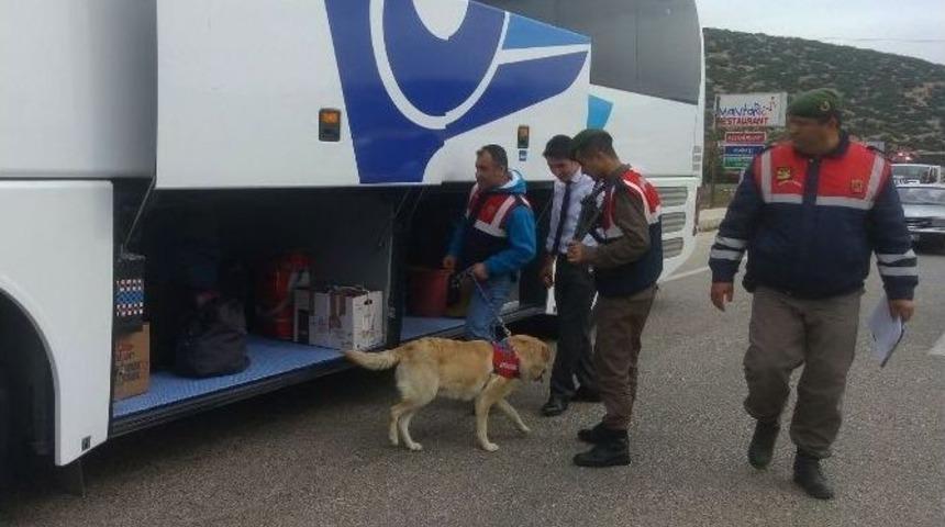Jandarmadan Narkotik K&ouml;pekli Uygulama