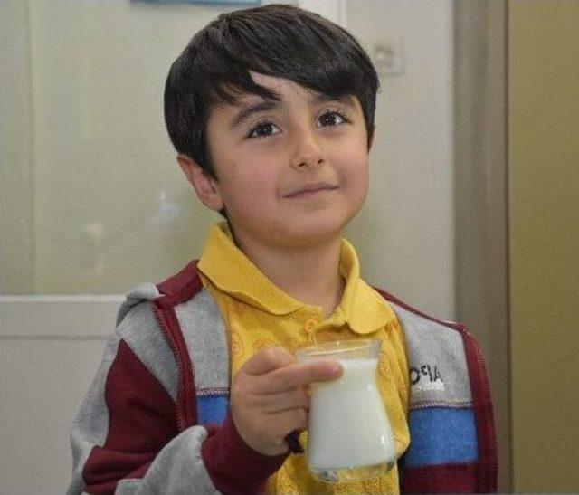 &Ccedil;ayın Yerini S&uuml;t Aldı 2