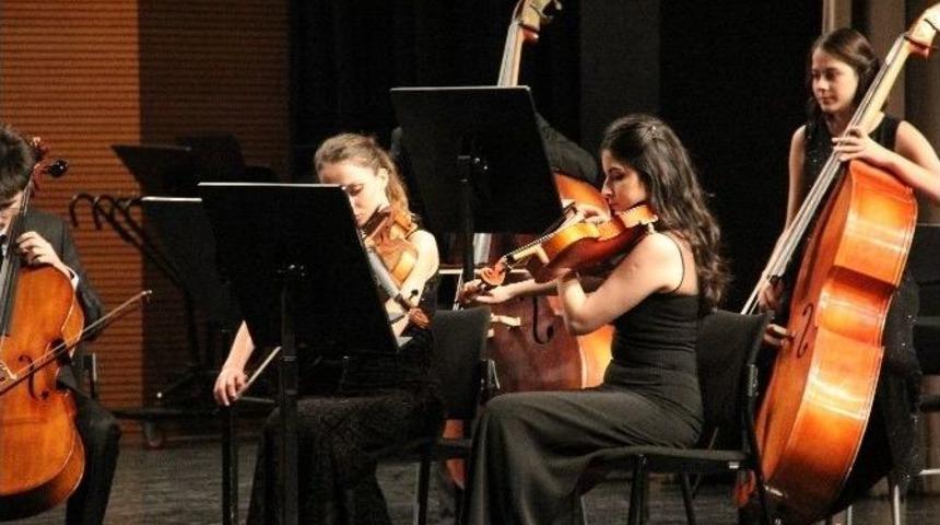 Sokak Hayvanları Yararına Klasik M&uuml;zik Konseri