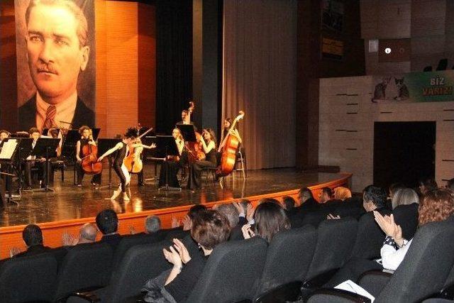 Sokak Hayvanları Yararına Klasik Müzik Konseri 2