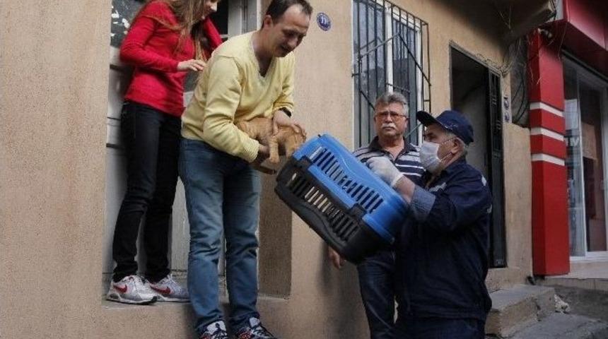 Konak&rsquo;ta Sevimli Sokak Dostları G&uuml;vende