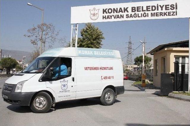 Konak’ta Sevimli Sokak Dostları Güvende