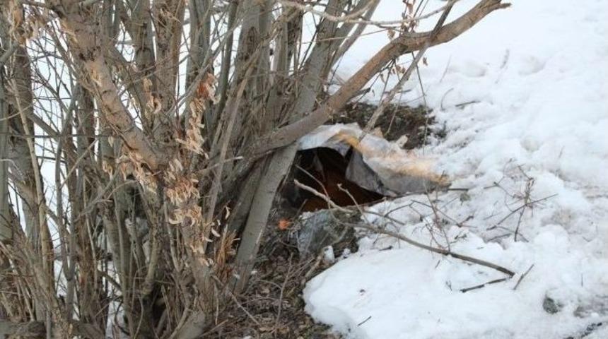 Ter&ouml;ristlerin Sığınağından Tavla Ve Tansiyon Aleti &Ccedil;ıktı