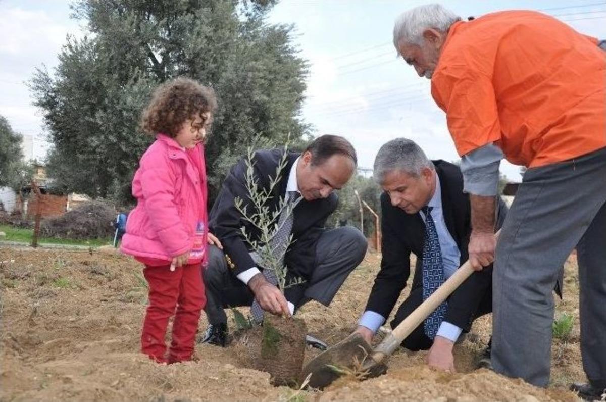 Nazilli&rsquo;de Hakim Ve Savcılardan Fidan Dikme Etkinliği