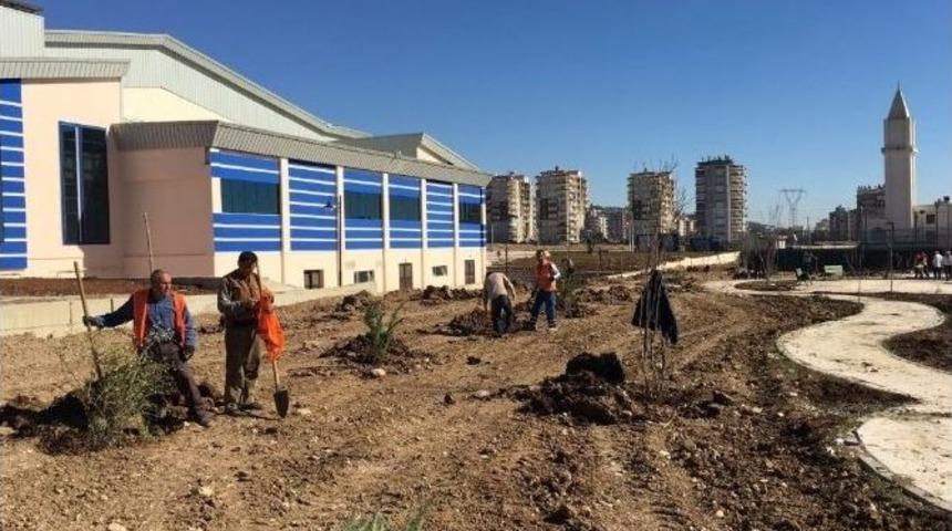 Parklarda Ağa&ccedil;landırma &Ccedil;alışması Yapılıyor