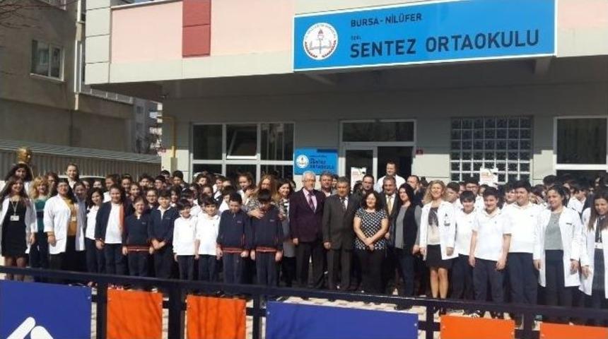 &Ouml;nce Kentler, Sonra Okullar Kardeş Oldu