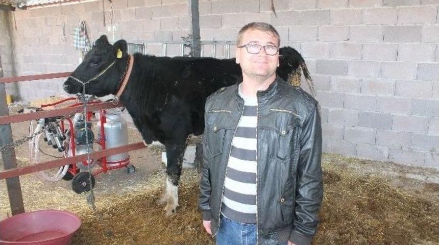 G&ouml;rme Engelli Vatandaş Hayvan &Ccedil;iftliği Kurdu