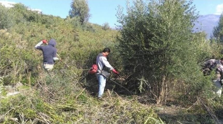 Demre&rsquo;de 200 Yıllık Mezarlık G&uuml;n Y&uuml;z&uuml;ne &Ccedil;ıkartıldı