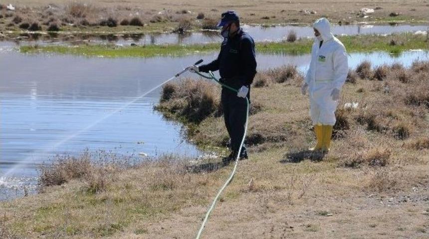 Niğde Belediyesi Sinekle M&uuml;cadeleye Başladı