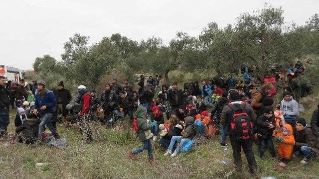 Ege’de 60 Günde 141 Mülteci Boğuldu