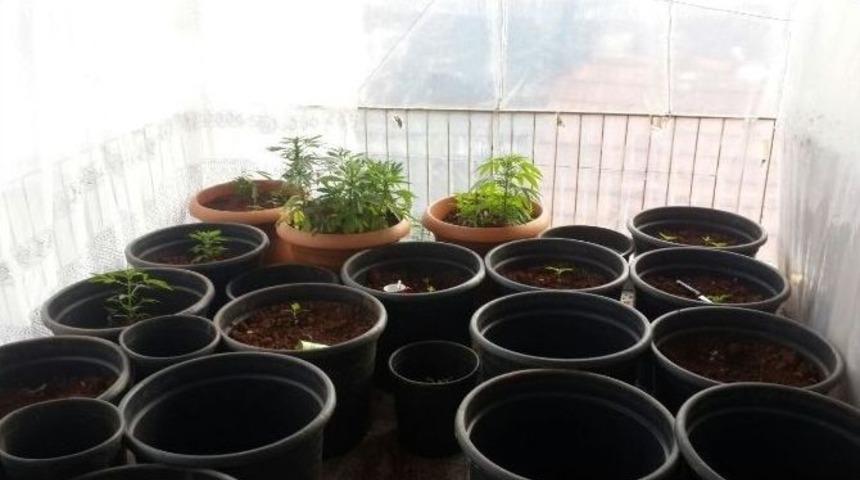 Antalya&rsquo;da İki Ayda 66 Kişi Uyuşturucudan Tutuklandı