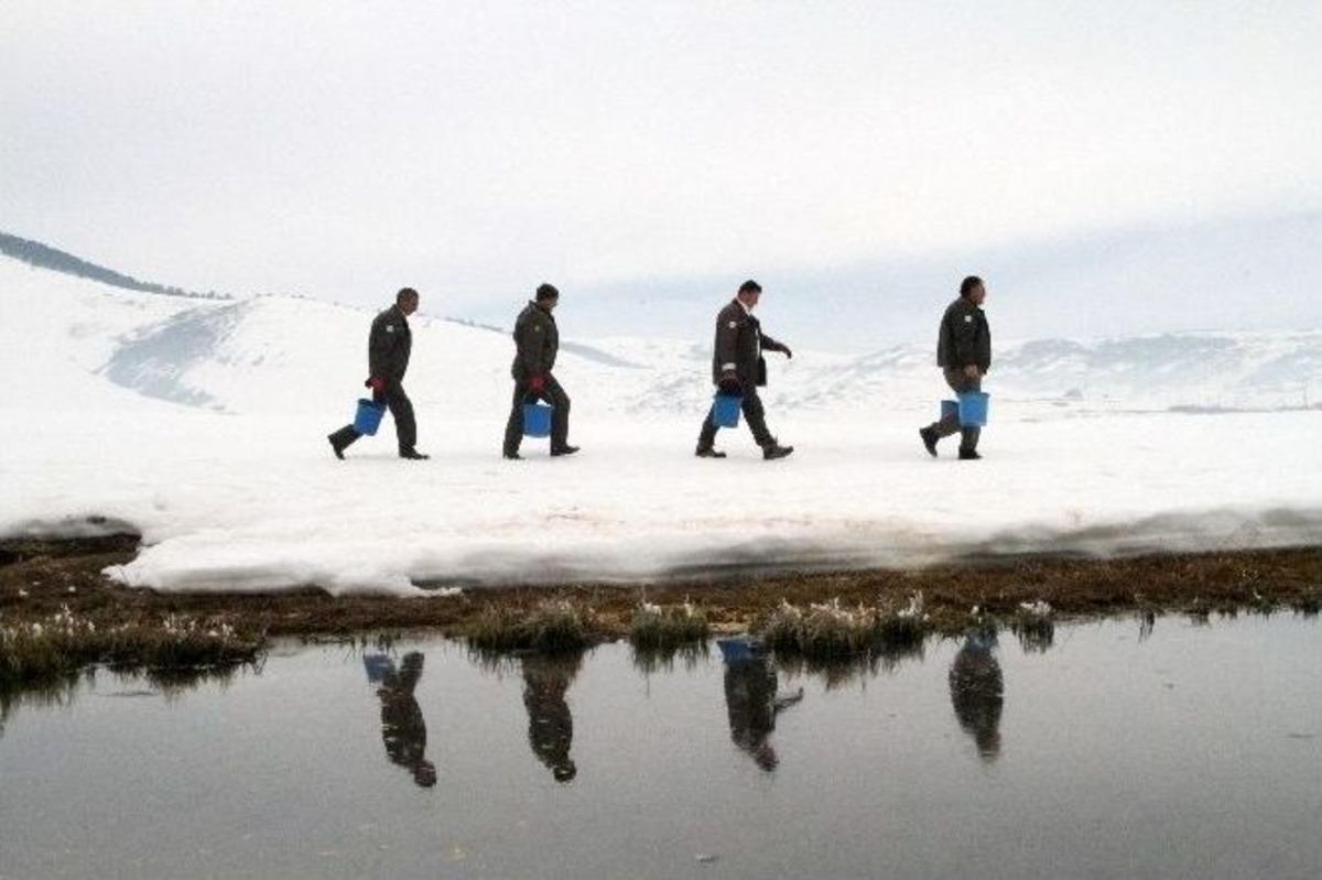 Yaban Hayatına Yem Takviyesi
