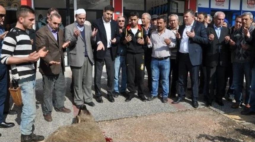 Sur Gazisi Baba Ocağında