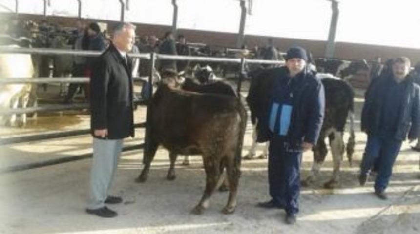 Bolvadin B&ouml;lgesel Hayvan Pazarı Tekrar Hizmete A&ccedil;ıldı