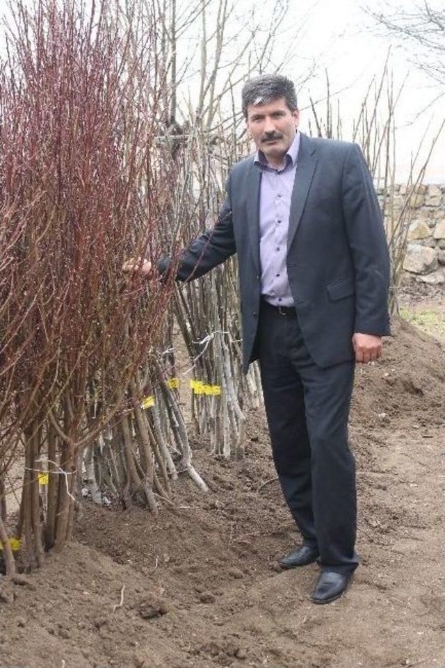 Akdağmadeni Ziraat Odasından ’herkesin Bir Fidanı Olsun’ Kampanyası