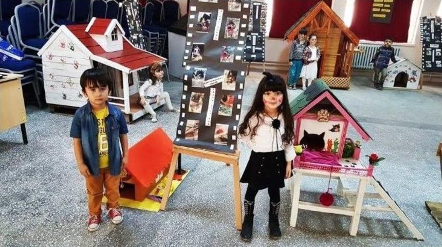 Mihalgazi’de "hayvan Barınağı Yapıyoruz" Projesi